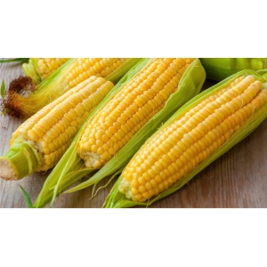 Corn